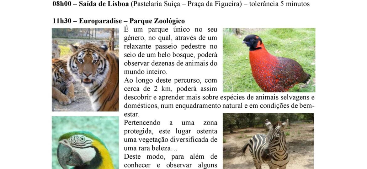 CARAPINHEIRA E PEREIRA - VISITA CULTURAL