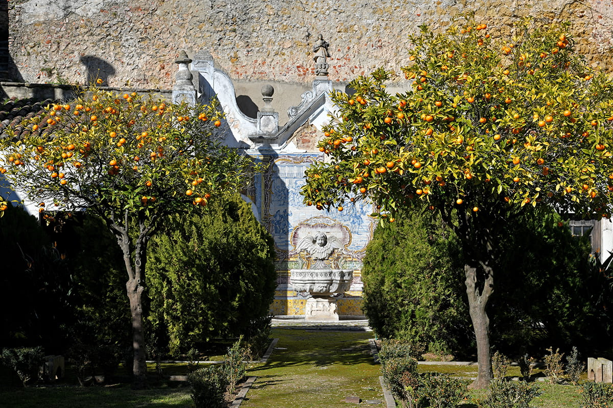 Jardim do Palácio da Independência Jardim do Palácio da Independência Foto: MJNunes