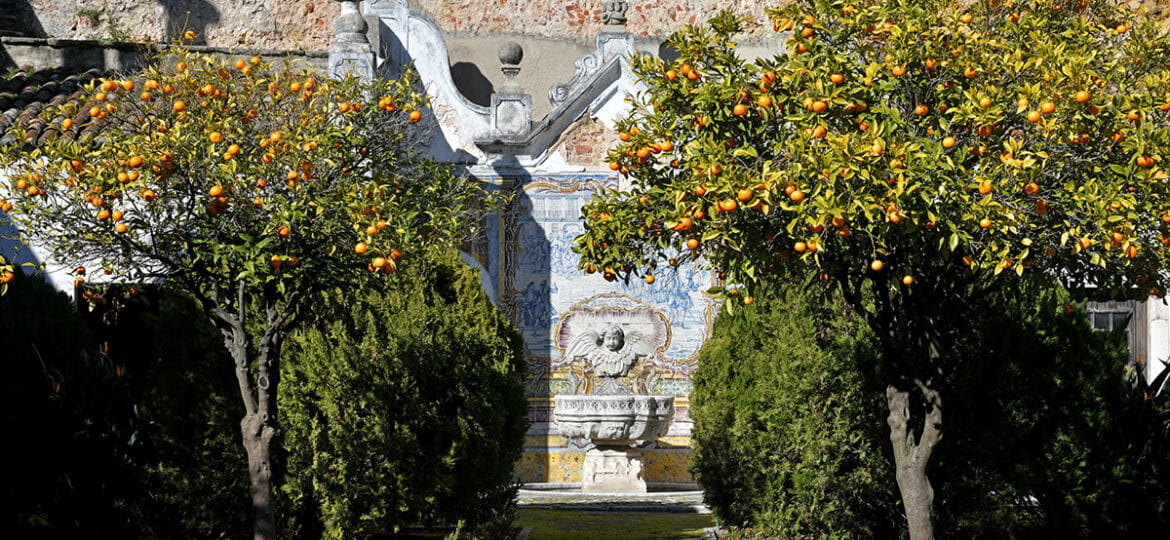 Palácio da Independência: vista parcial do jardim. Foto:MJNunes