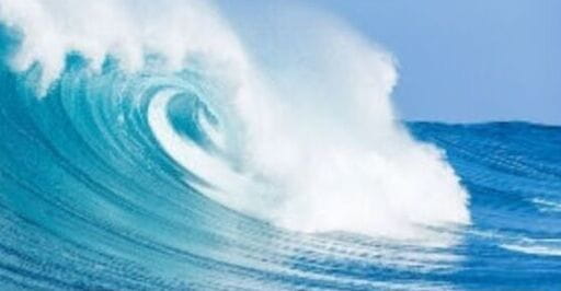 FotoConferencia 22 de novembro Circulo Mar_ (002)