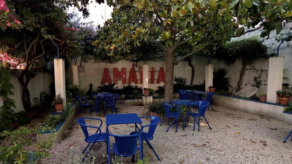 jardim-amalia-rodrigues foto